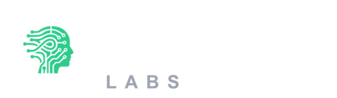 Solint Labs